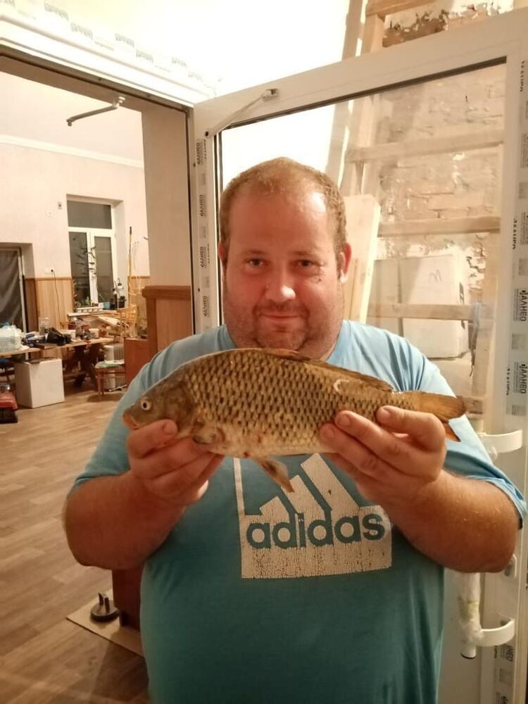 ���� 40673610 ������� ����, 39 ���, ���� ���������� � ����������