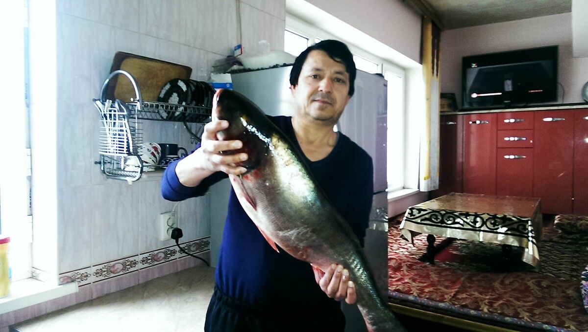  ,   GOPAL, 50 ,   
