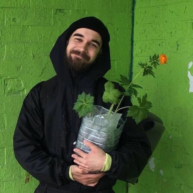 ���� 55068350 ������� �������, 29 ���, ���� ���������� � ������������