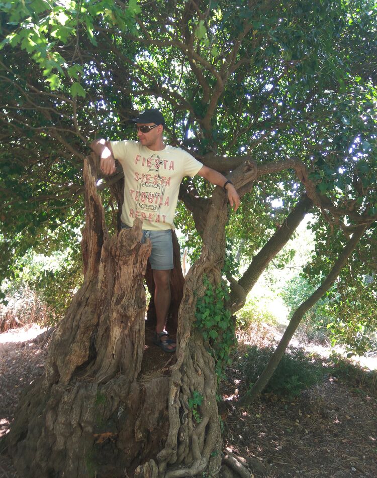 ���������� �����������, ���� ������� Viktor, 36 ���, ������������ ��� ������, ����� � ���������, c�������� ���������