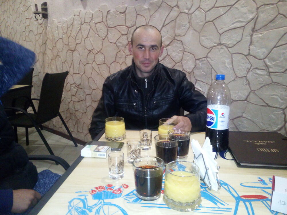  ,   Tarassirius, 41 ,   