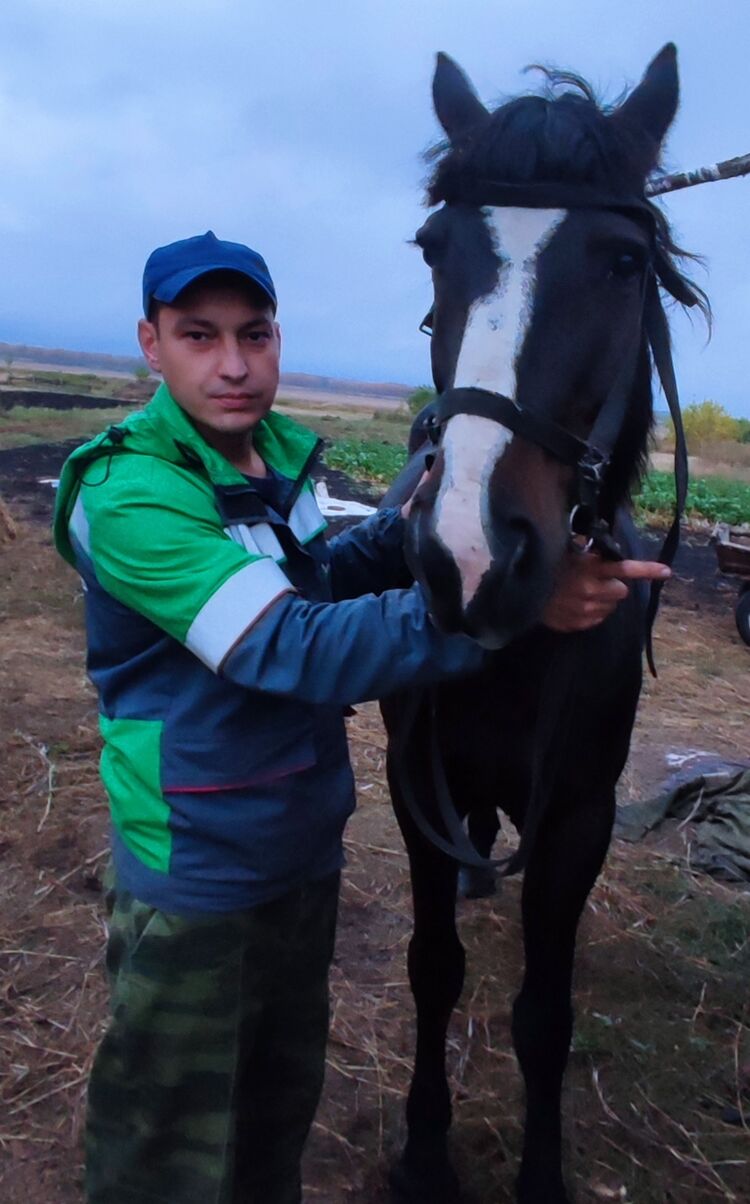 ���������� ���, ���� ������� �����, 37 ���, ������������ ��� ������, ����� � ���������