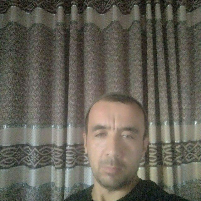 39055050  , 43 ,    