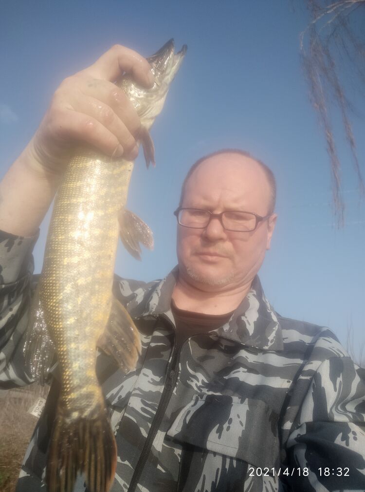 ���������� �����, ���� ������� �����, 56 ���, ������������ ��� ������, ����� � ���������, c�������� ���������