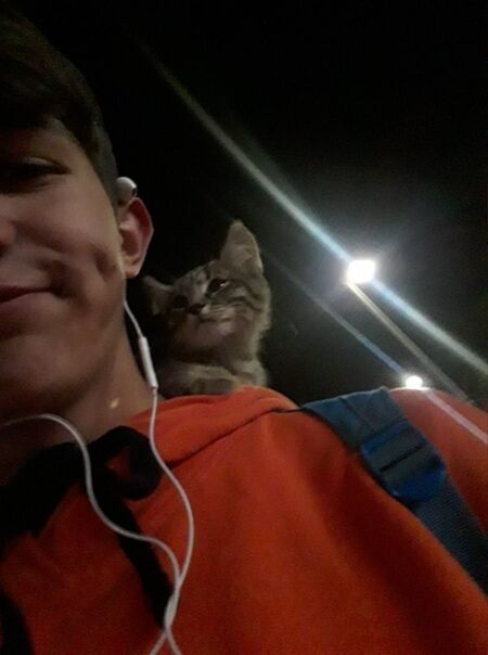  ,   , 22 ,  
