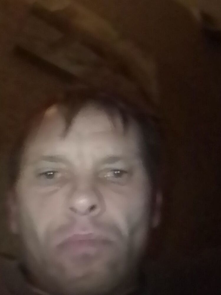  29854170  , 41 ,    