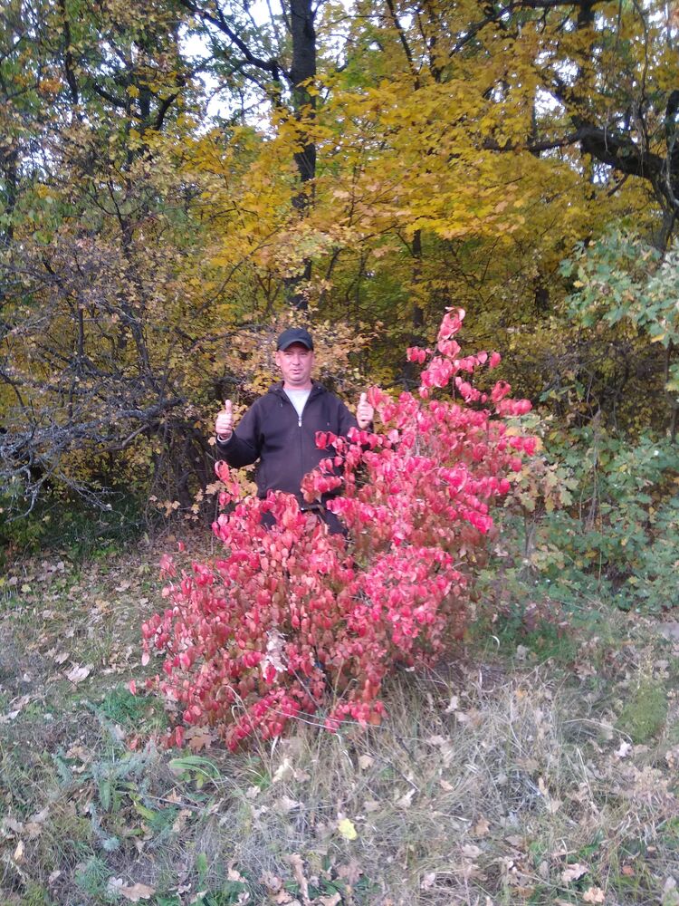  ,   , 57 ,   ,   