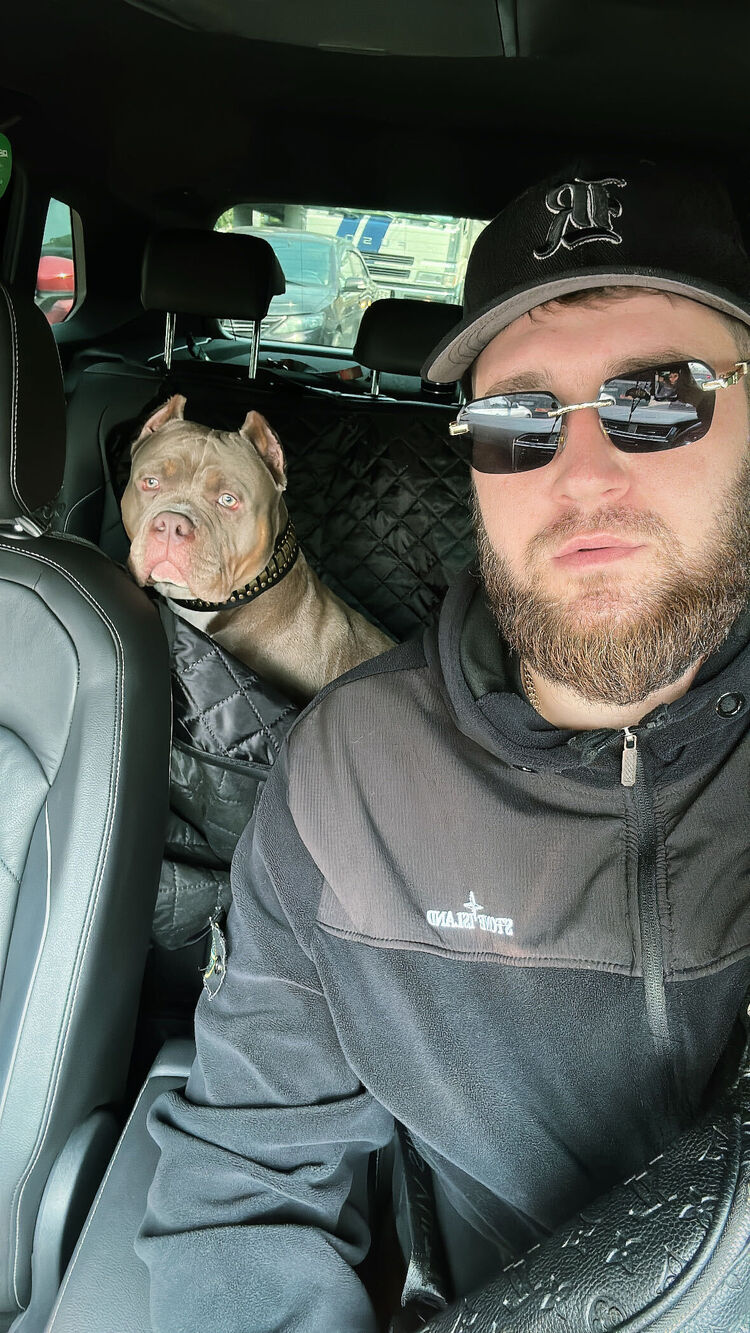 ���� 56263990 ������� �����, 33 ����, ���� ���������� � ������������