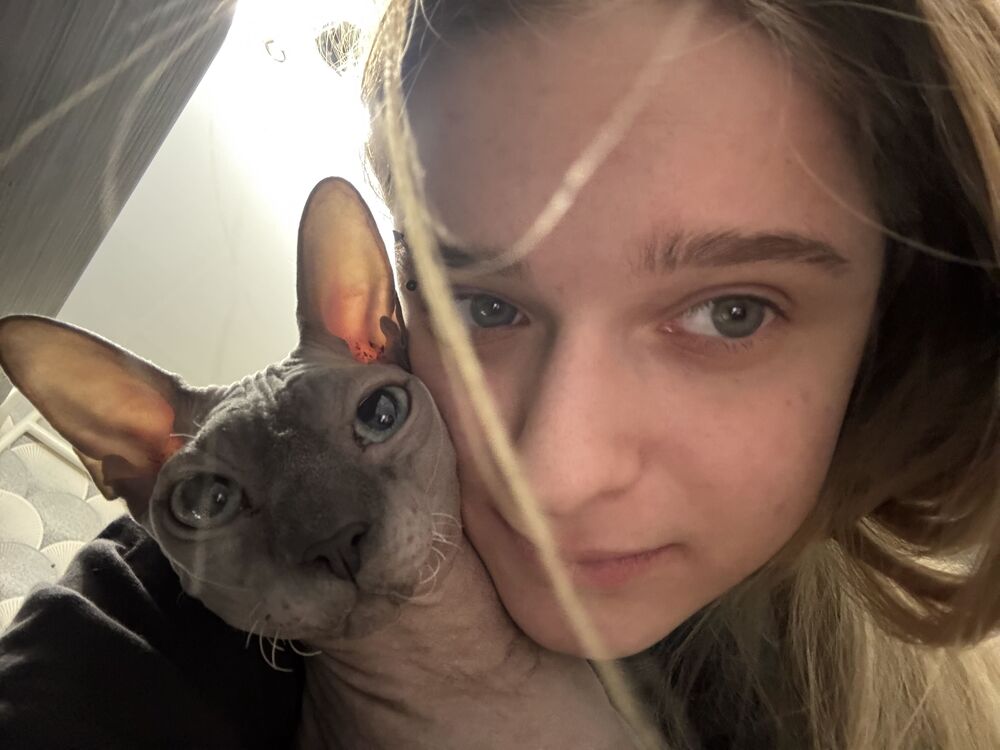 ���� 55579790 ������� ���������, 20 ���, ���� ���������� � ����������