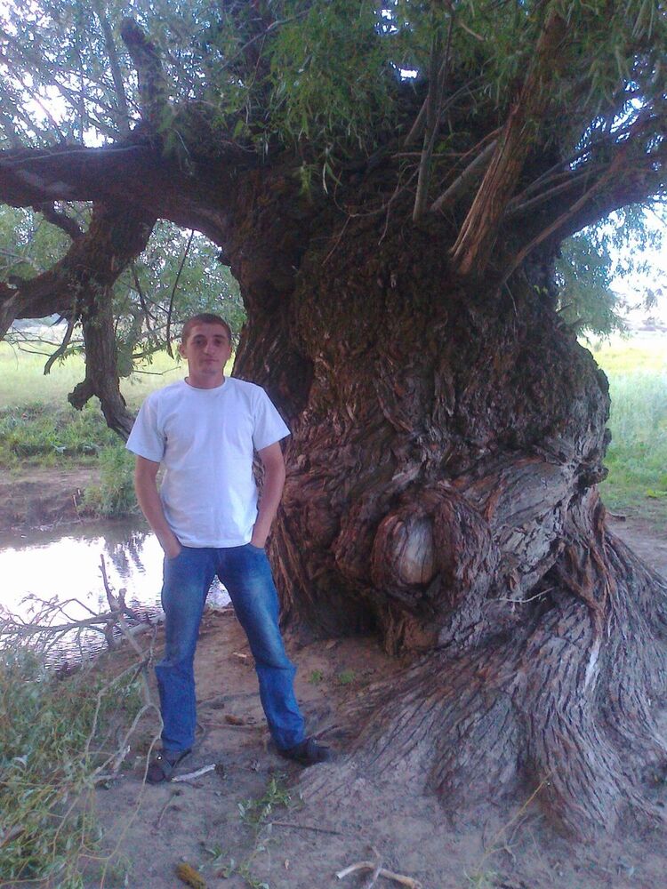  ,   Pokaritel_S, 37 ,     , c 