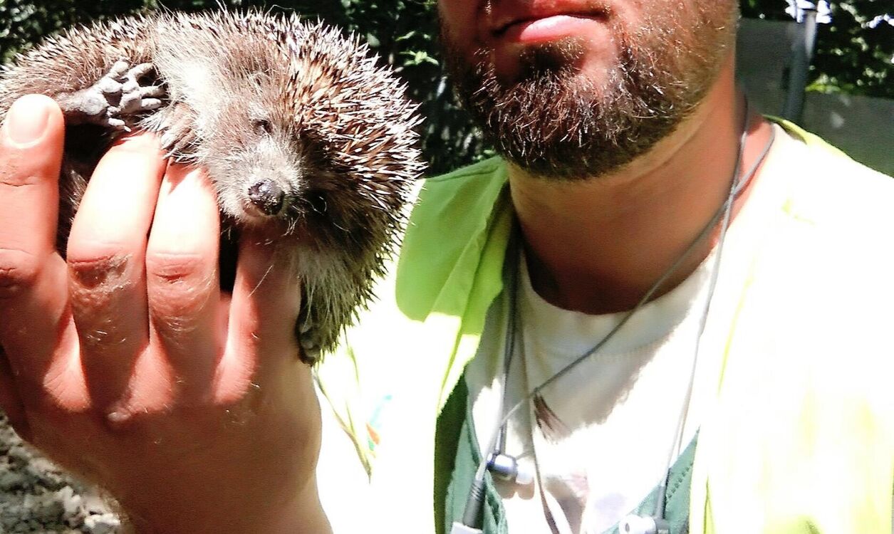  37232230  Ramazan, 39 ,    -