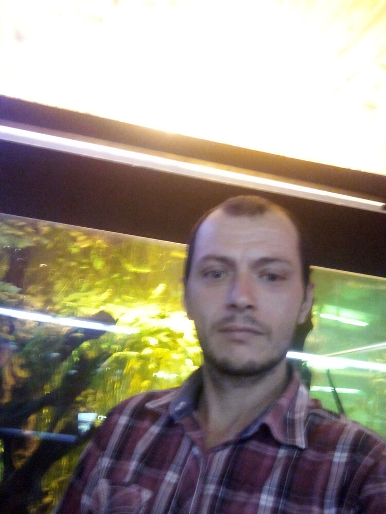 ���� 23409770 ������� Giorgi, 40 ���, ���� ���������� � �������