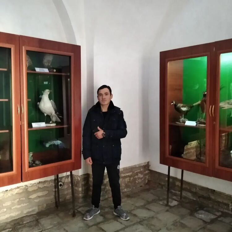 ���� 25747620 ������� Sardor, 26 ���, ���� ���������� � ������