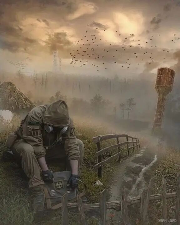  34652670  Stalker, 21 ,    