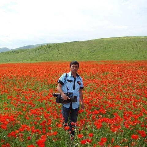 ���� 7740370 ������� �������, 52 ����, ���� ���������� � ���������