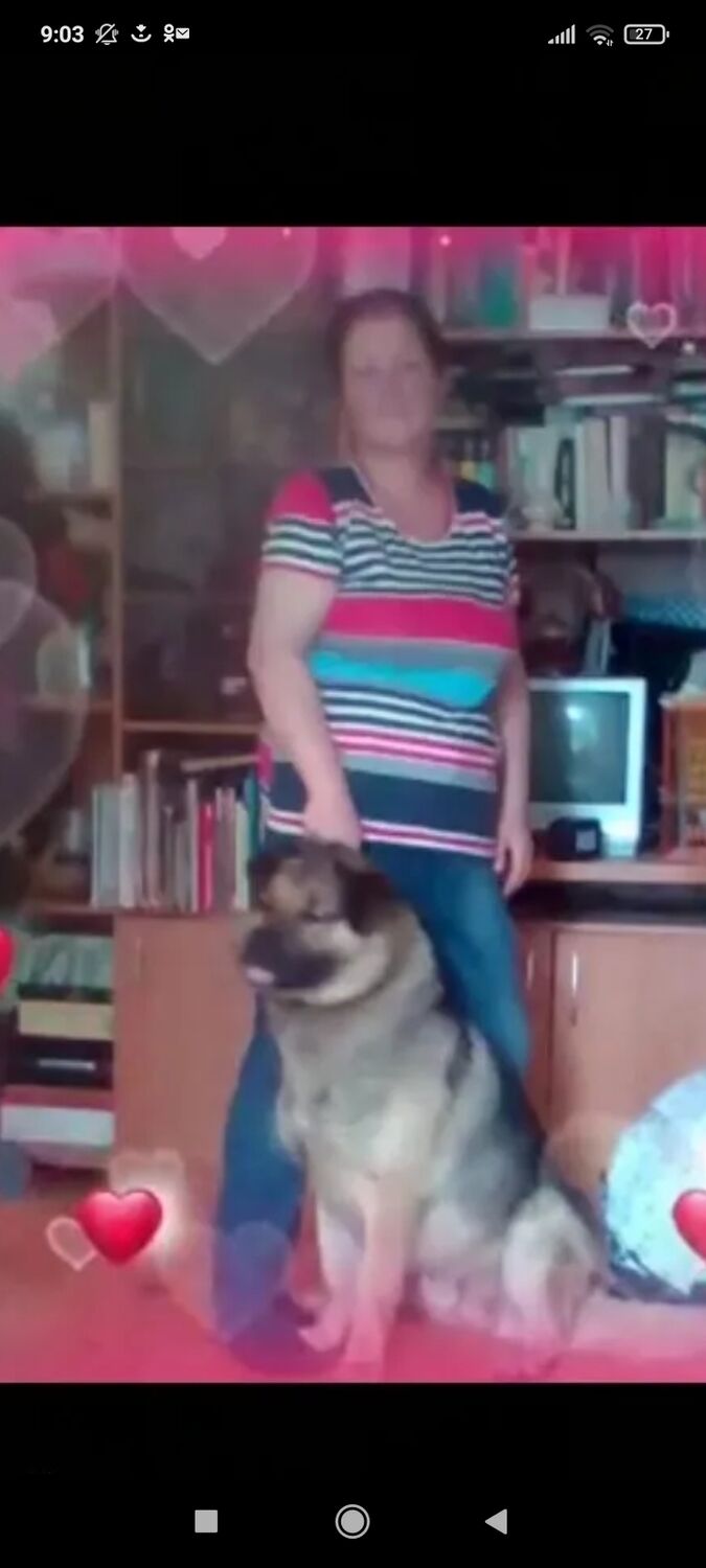 ���������� ������, ���� ������� �������, 44 ����, ������������ ��� ������, ����� � ���������, c�������� ���������