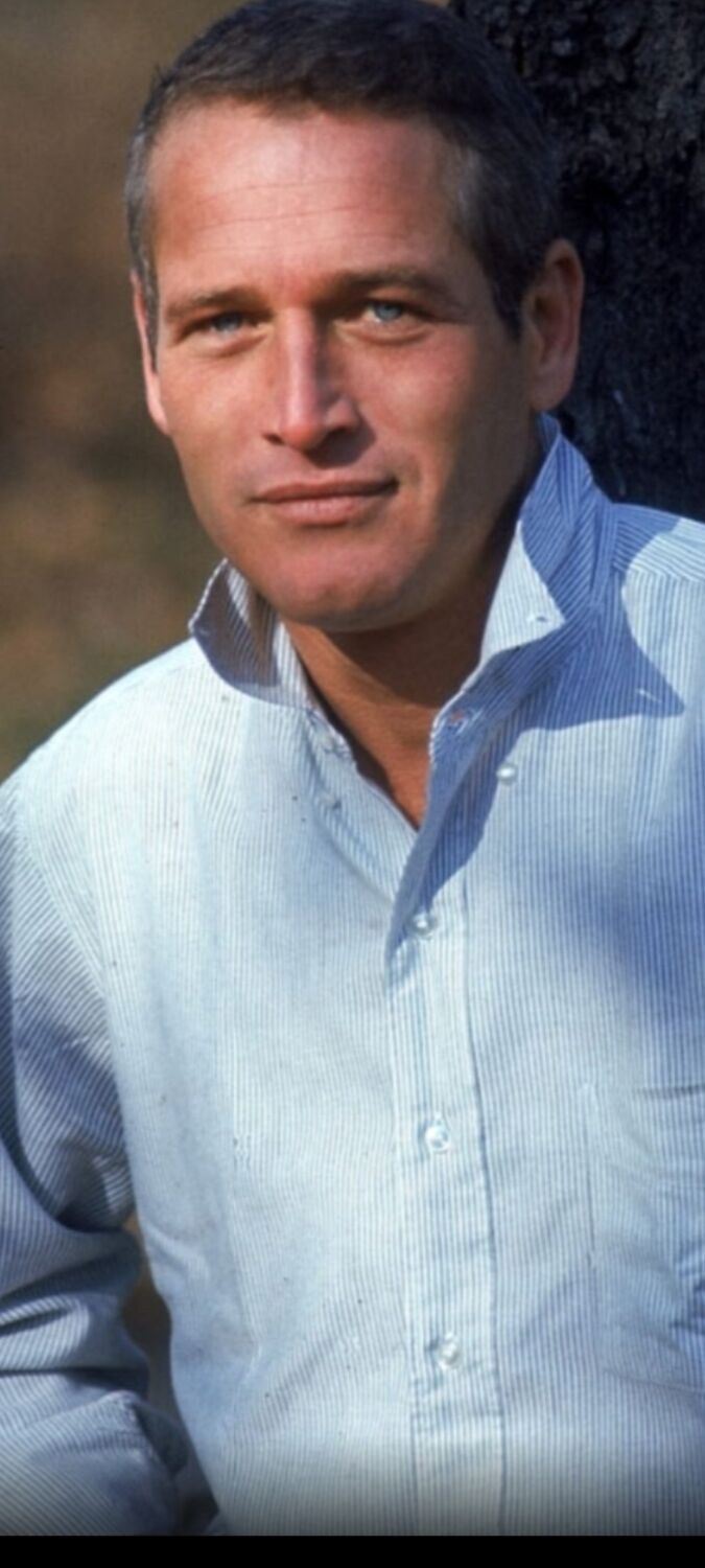 ���� 35473380 ������� ������, 45 ���, ���� ���������� � ��������