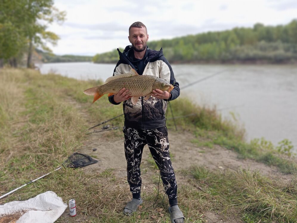 ���� 50342540 ������� �����, 36 ���, ���� ���������� � ������