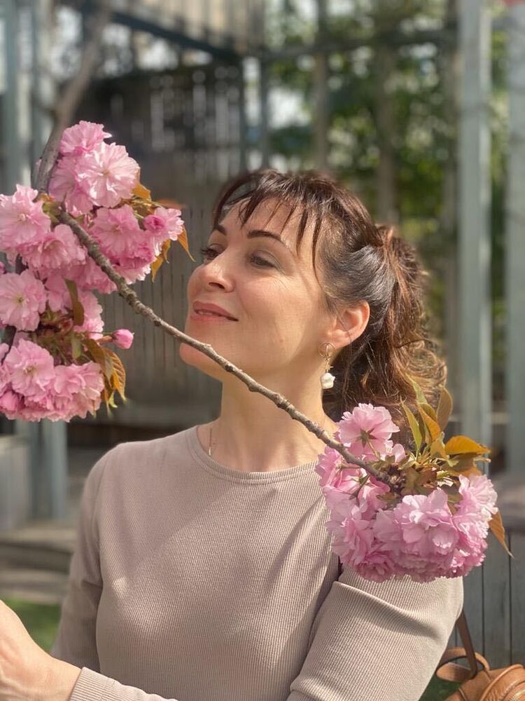 ���� 26435480 ������� �������, 50 ���, ���� ���������� � ����������