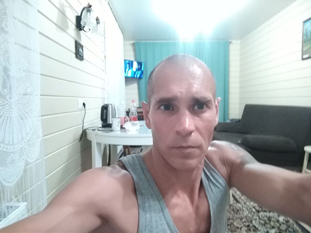  39244930  , 41 ,    