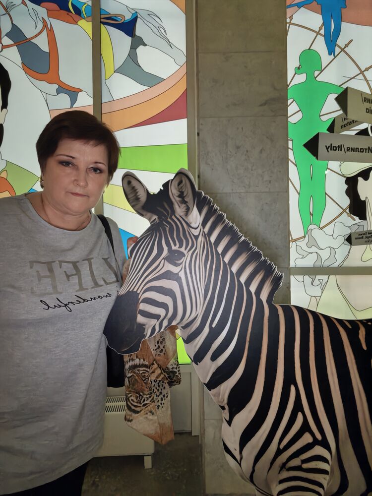 ���������� ����, ���� ������� ��������, 60 ���, ������������ ��� c�������� ���������