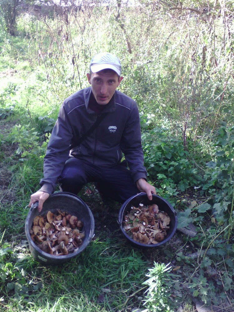 ���� 30813110 ������� ������, 35 ���, ���� ���������� � ����������