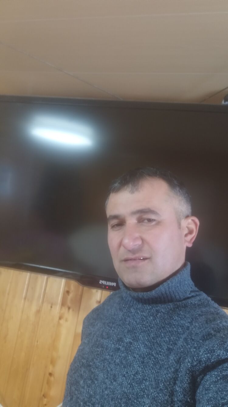 31660060  , 43 ,    -