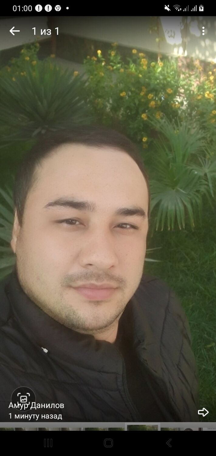 ���������� �����-���������, ���� ������� ����, 40 ���, ������������ ��� ������, ����� � ���������