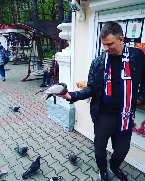 ���������� ���������, ���� ������� ���������, 38 ���, ������������ ��� ������, ����� � ���������, c�������� ���������, ���������