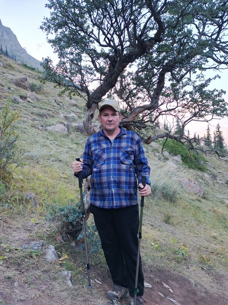 ���� 54781410 ������� �����, 50 ���, ���� ���������� � ��������