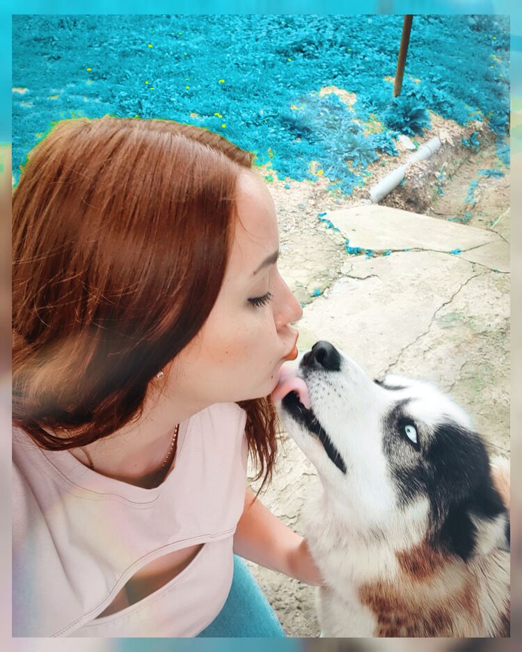 ���������� ������-��-����, ���� ������� ������, 31 ���, ������������ ��� ����� � ���������, c�������� ���������