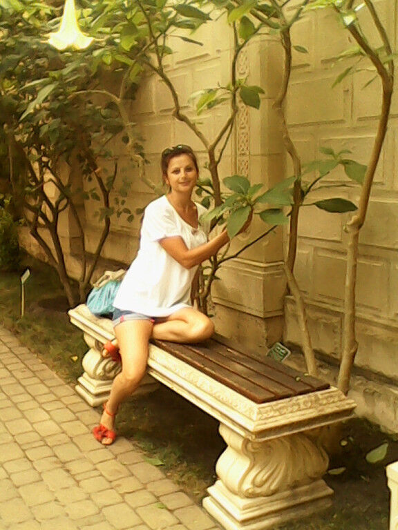 ���������� ����������, ���� ������� �������, 43 ����, ������������ ��� ������, ����� � ���������, c�������� ���������