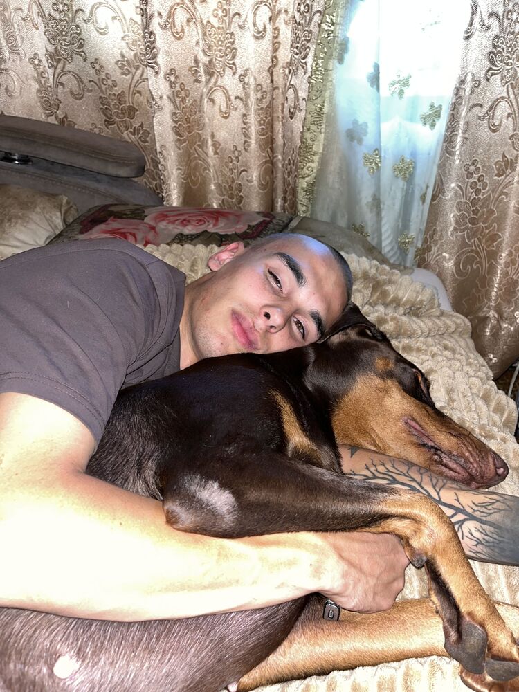 ���������� �����������, ���� ����� ��������, 21 ���, ������������ ��� ������, ����� � ���������