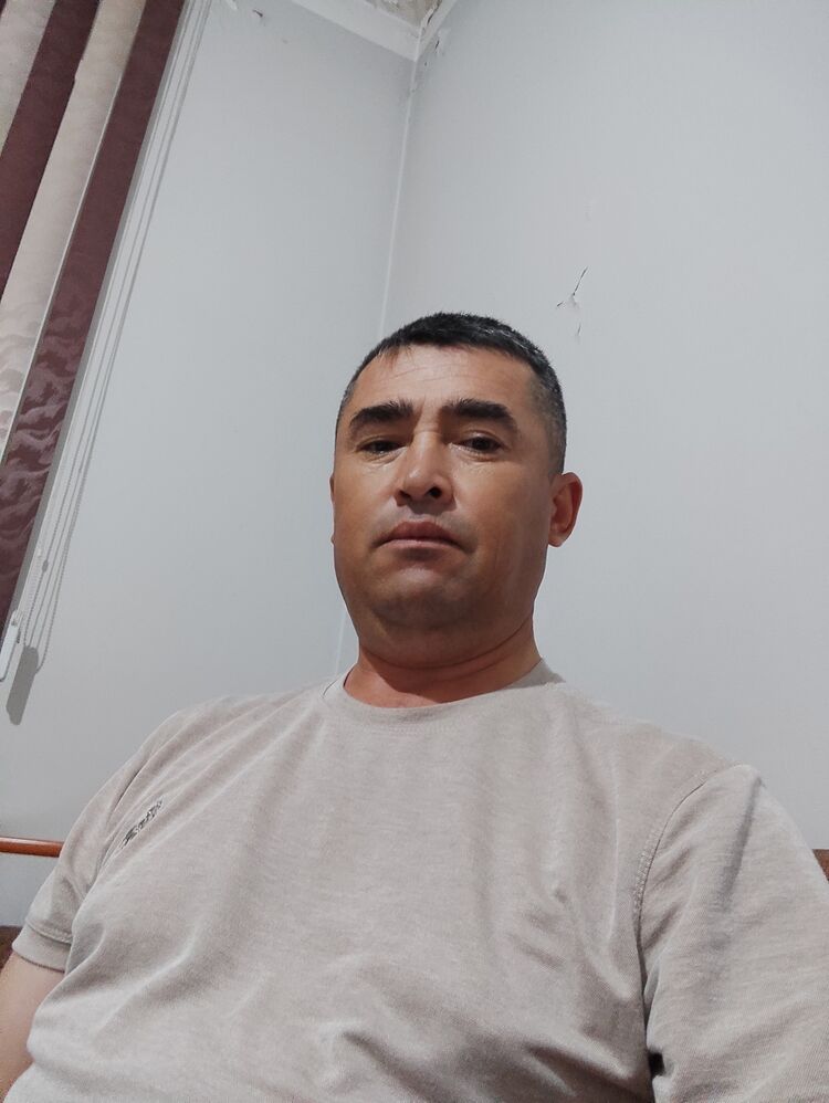  34315480  , 38 ,    