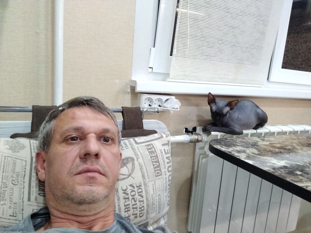  43732340  , 53 ,    