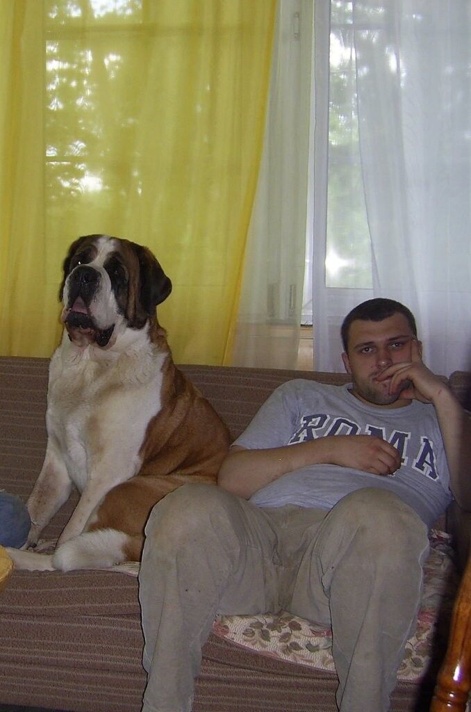 ���������� ������, ���� ������� Dima, 41 ���, ������������ ��� ������, ����� � ���������, c�������� ���������