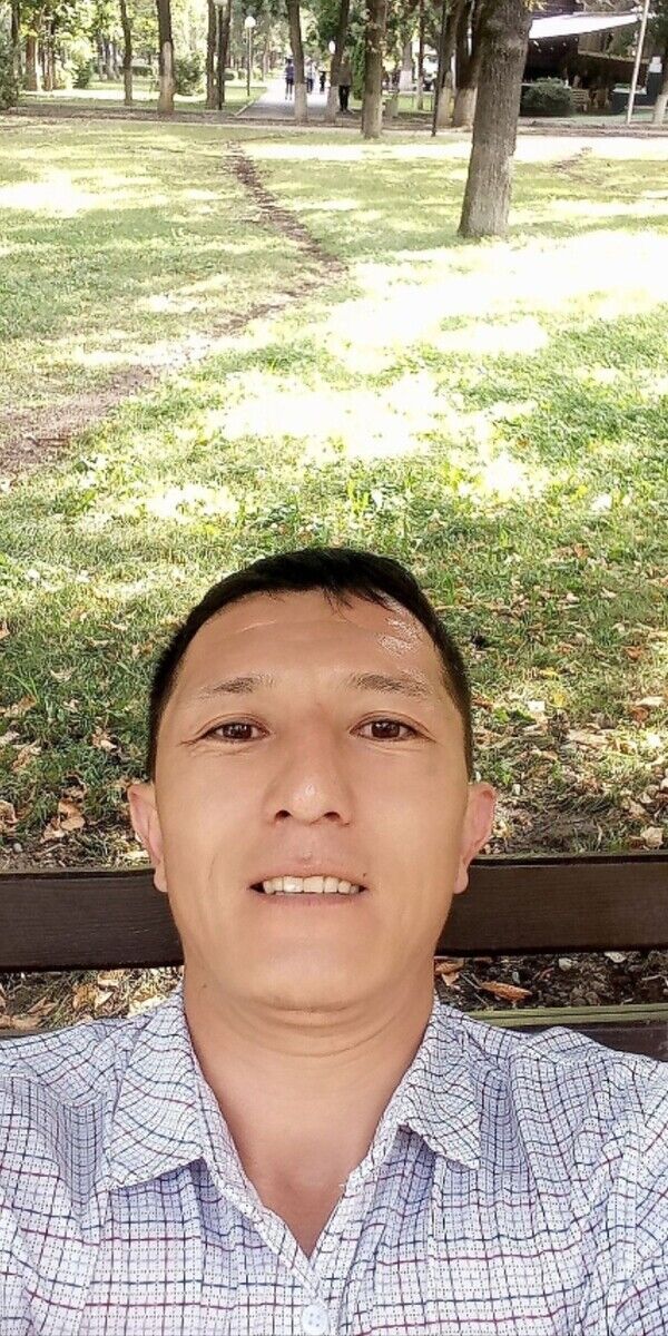  ,   MEDA, 39 ,   ,   , c 