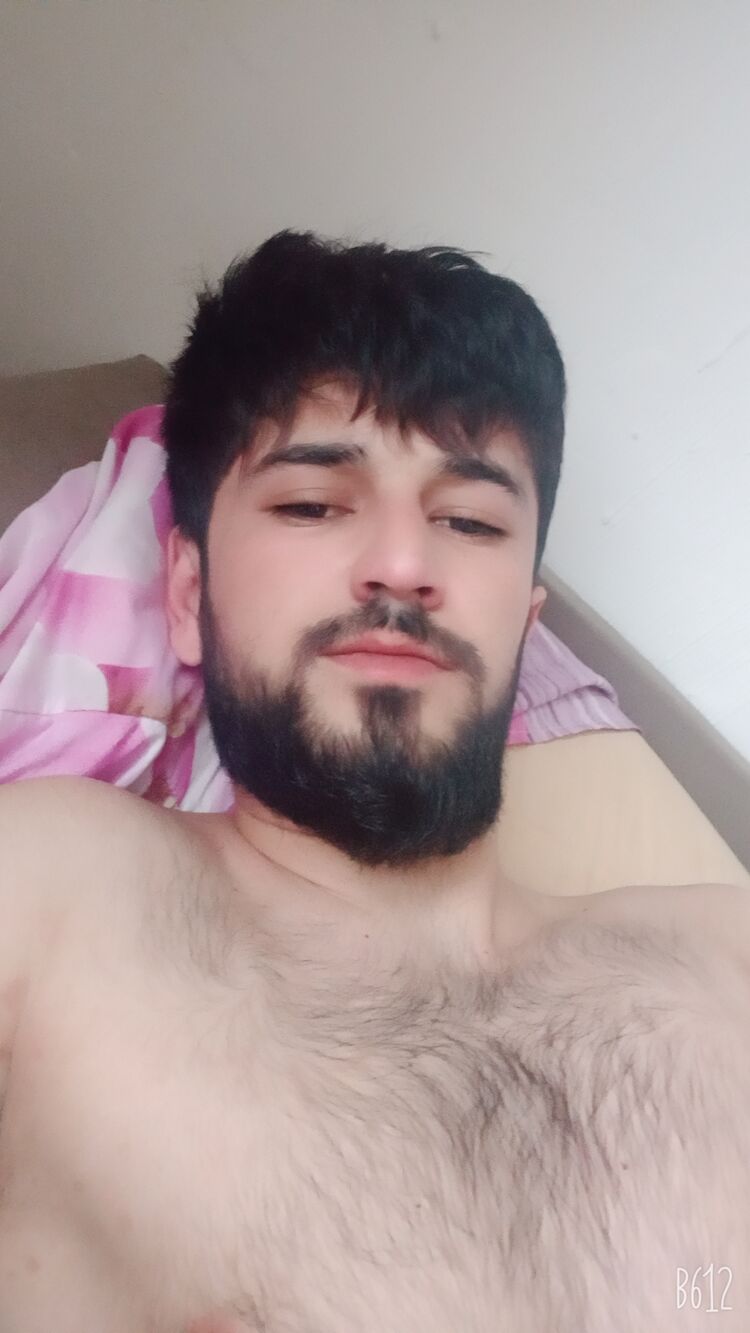  33079350  , 29 ,    