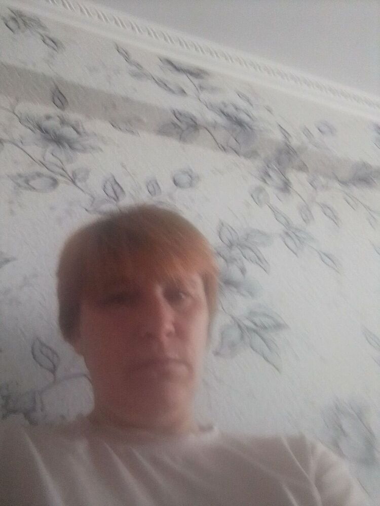  34103840  , 46 ,    