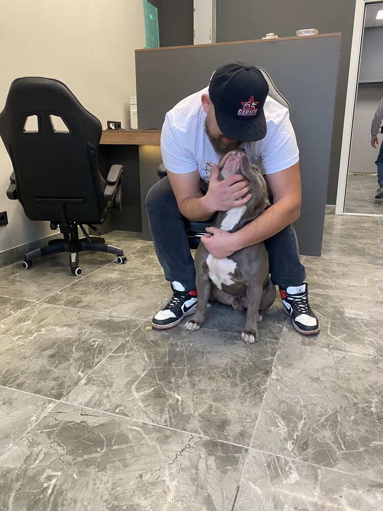 ���������� ���������, ���� ������� ������, 33 ����, ������������ ��� ����� � ���������, c�������� ���������