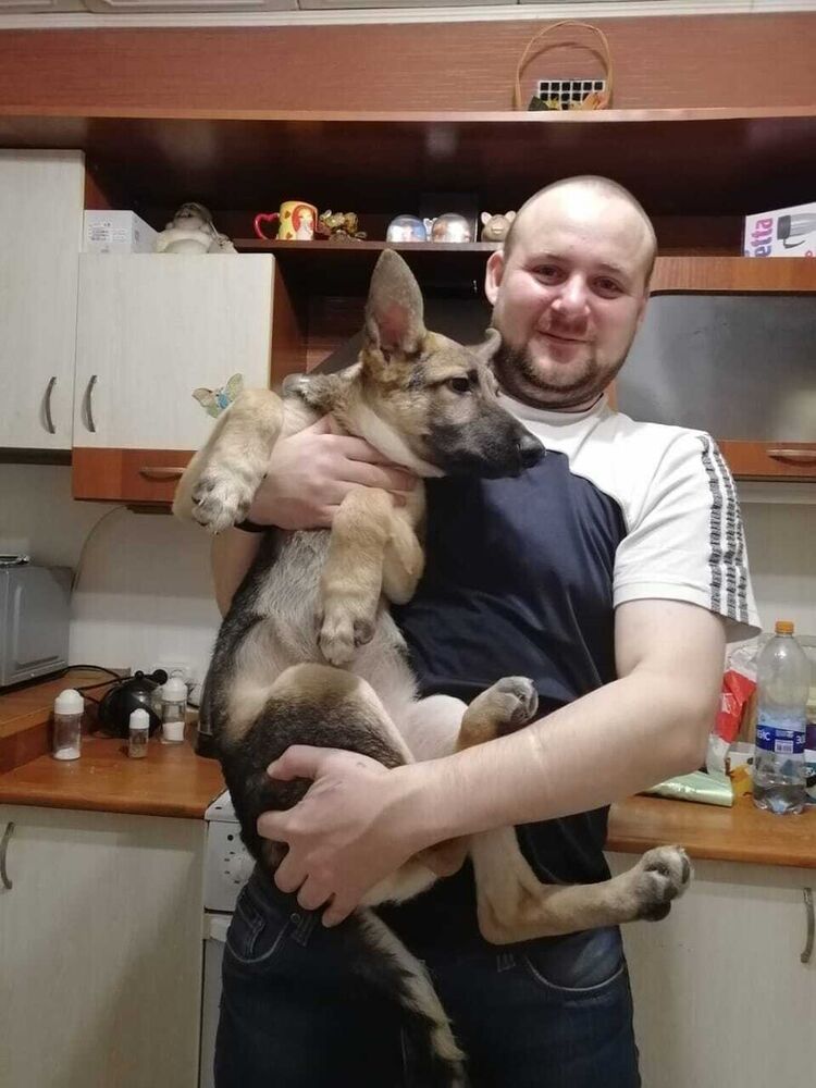 ���� 20246260 ������� �������, 36 ���, ���� ���������� � ���������