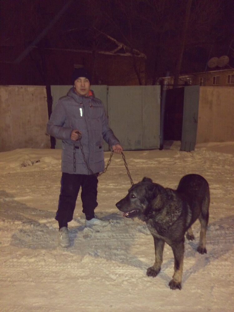 ���������� ������, ���� ������� ���������, 33 ����, ������������ ��� ������