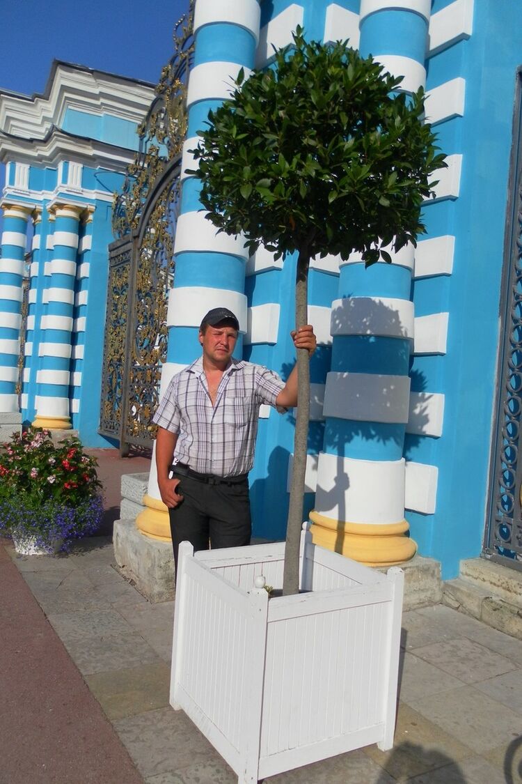  -,   , 43 ,   ,   , c 