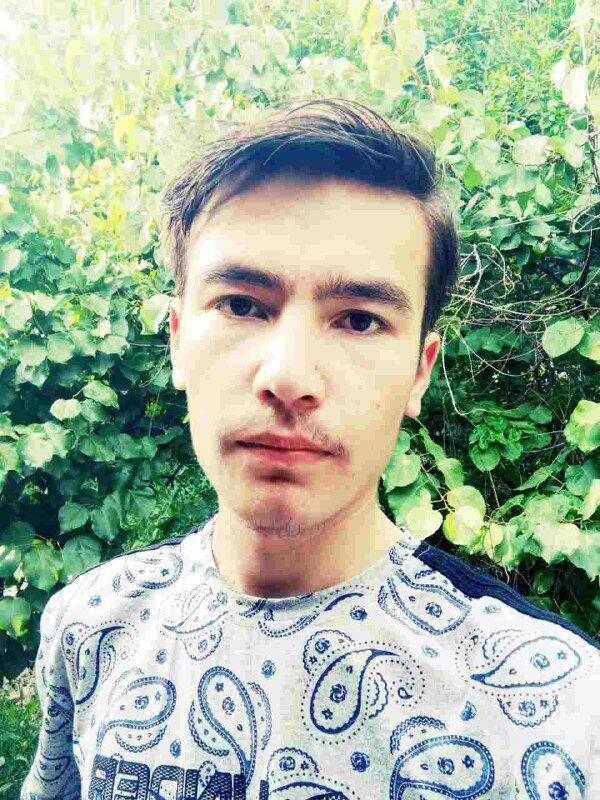 ���� 23690650 ����� ����, 24 ����, ���� ���������� � ��������