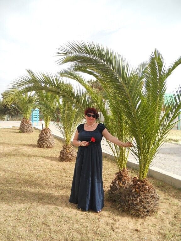 ���������� ������������, ���� ������� ����, 53 ����, ������������ ��� ������, ����� � ���������, c�������� ���������