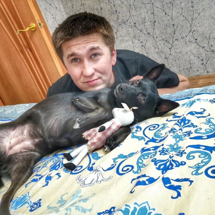 ���������� ���, ���� ������� ����, 33 ����, ������������ ��� ������, ����� � ���������, c�������� ���������, ���������