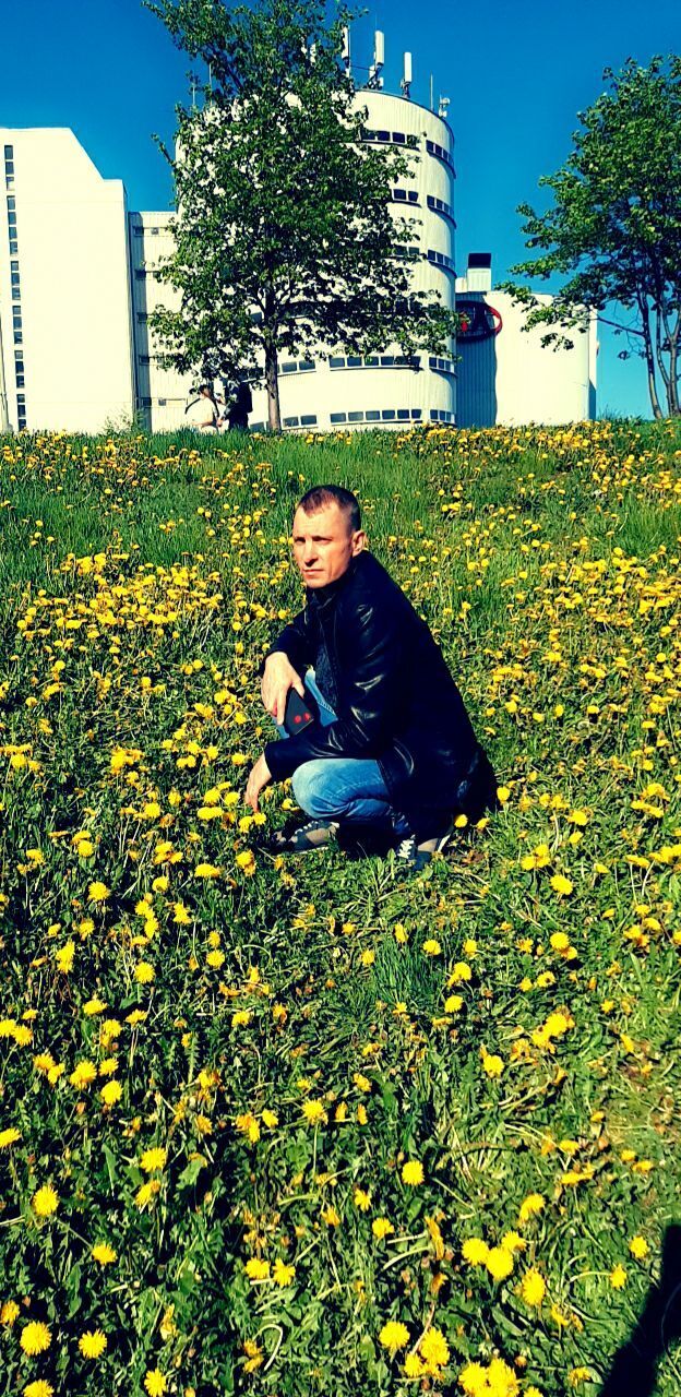 ���� 46487120 ������� �������, 50 ���, ���� ���������� � ������