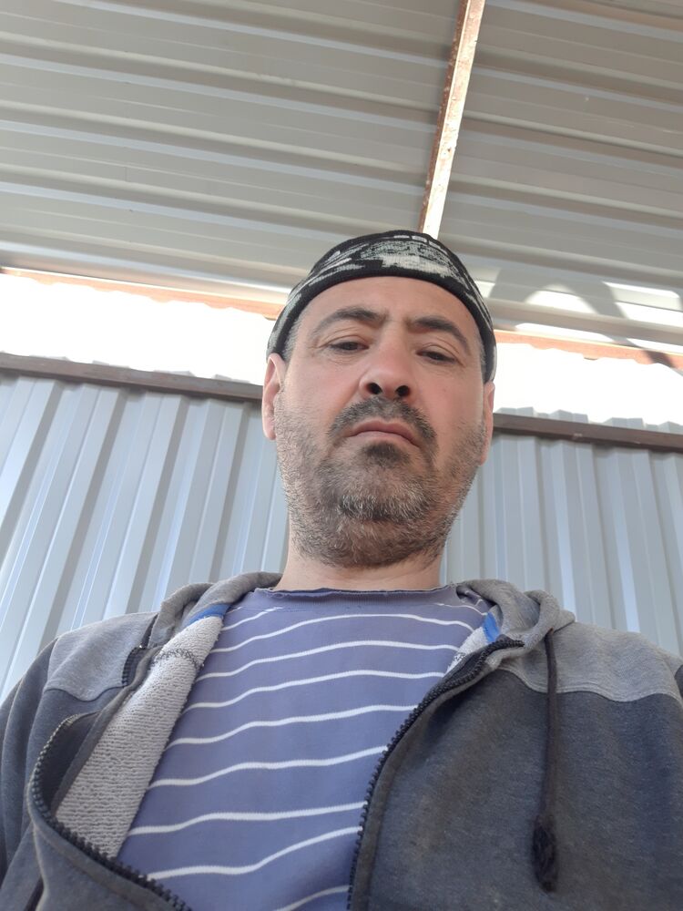  33356350  , 46 ,    