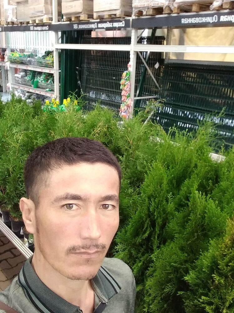 ���� 28483200 ������� ������, 37 ���, ���� ���������� � �����-����������