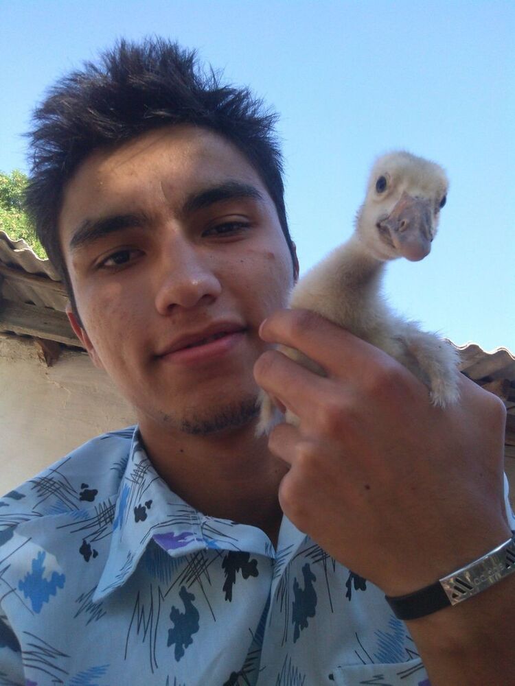 ���������� �����������, ���� ������� ��������, 30 ���, ������������ ��� ������, ����� � ���������, c�������� ���������